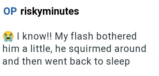OP riskyminutes I know!! My flash bothered him a little, he squirmed around and then went back to sleep