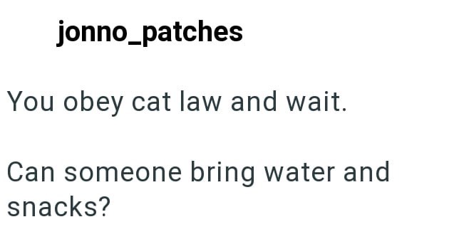 jonno_patches You obey cat law and wait. Can someone bring water and snacks?