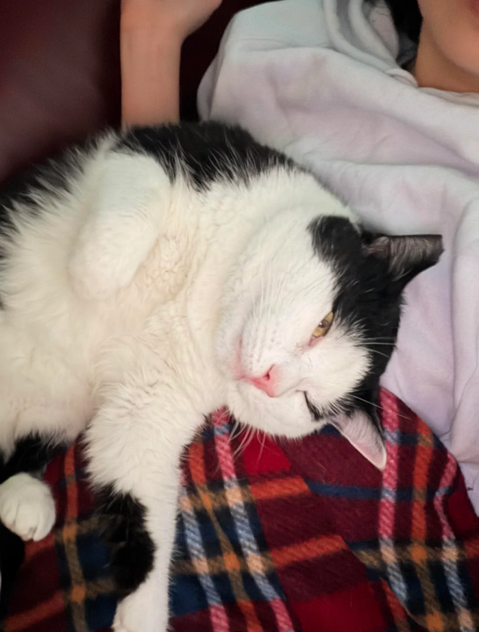 Cheezburger Image 10614154752