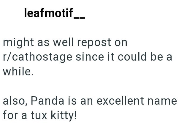 leafmotif__ might as well repost on r/cathostage since it could be a while. also, Panda is an excellent name for a tux kitty!