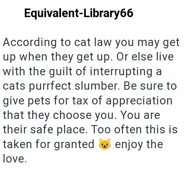 Equivalent-Library66 According to cat law you may get up when they get up. Or else live with the guilt of interrupting a cats purrfect slumber. Be sure to give pets for tax of appreciation that they choose you. You are their safe place. Too often this is taken for granted enjoy the love.