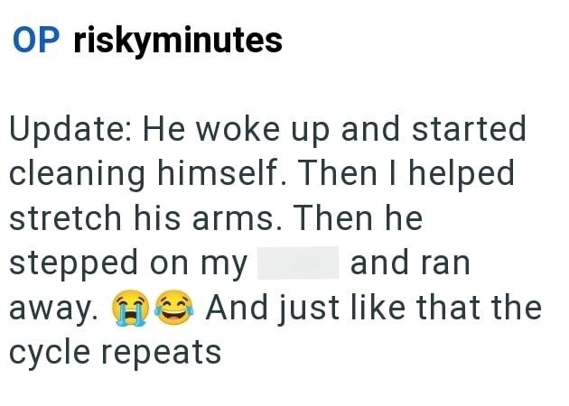 OP riskyminutes Update: He woke up and started cleaning himself. Then I helped stretch his arms. Then he stepped on my and ran away. And just like that the cycle repeats