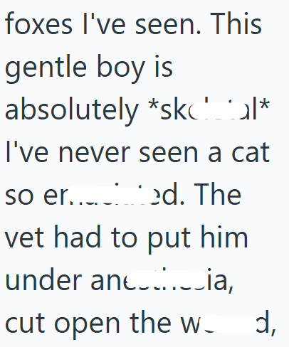 foxes I've seen. This gentle boy is absolutely *skcal* I've never seen a cat so er...ed. The vet had to put him under ania, cut open the w d,