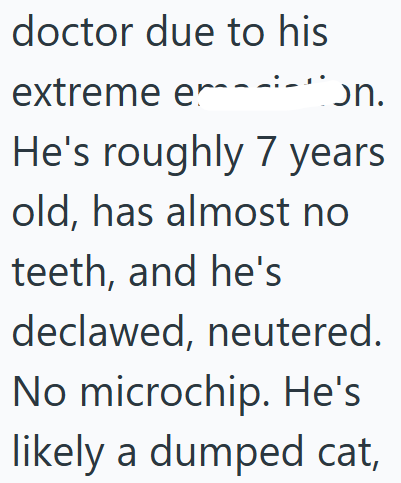 doctor due to his extreme en. He's roughly 7 years old, has almost no teeth, and he's declawed, neutered. No microchip. He's likely a dumped cat,