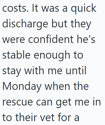costs. It was a quick discharge but they were confident he's stable enough to stay with me until Monday when the rescue can get me in to their vet for a