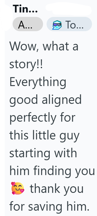 Tin... A... To... Wow, what a story!! Everything good aligned perfectly for this little guy starting with him finding you thank you for saving him.