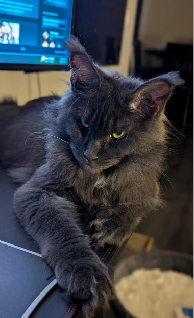 Cheezburger Image 10614172672