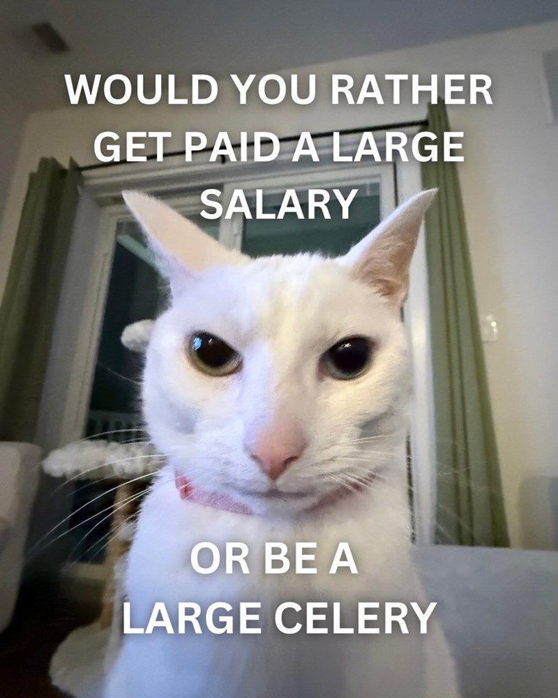 WOULD YOU RATHER GET PAID A LARGE SALARY OR BE A LARGE CELERY