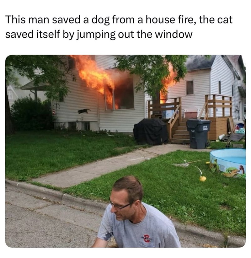 This man saved a dog from a house fire, the cat saved itself by jumping out the window ELEXCO 2903