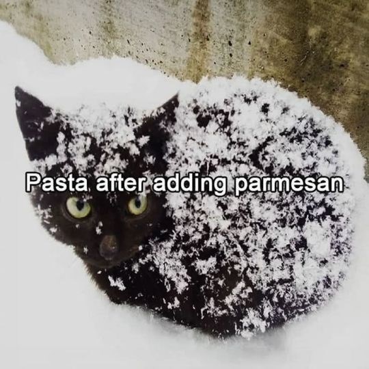 Pasta after adding parmesan