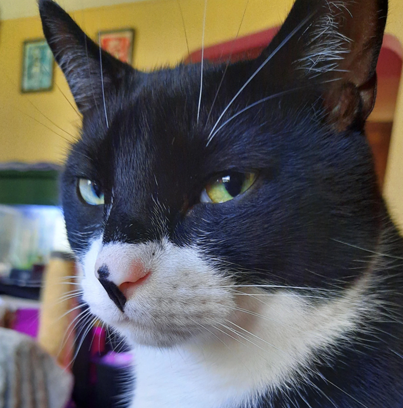 Cheezburger Image 10614182656