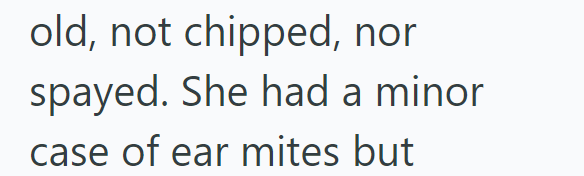 old, not chipped, nor spayed. She had a minor case of ear mites but