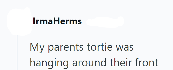 IrmaHerms My parents tortie was hanging around their front