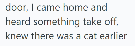 door, I came home and heard something take off, knew there was a cat earlier