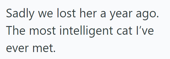 Sadly we lost her a year ago. The most intelligent cat I've ever met.