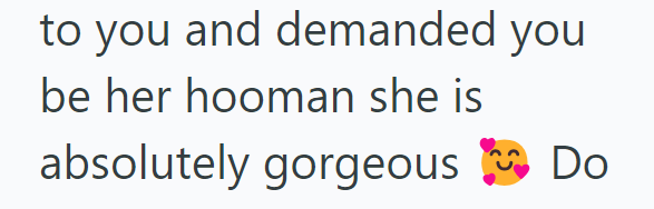 to you and demanded you be her hooman she is absolutely gorgeous Do