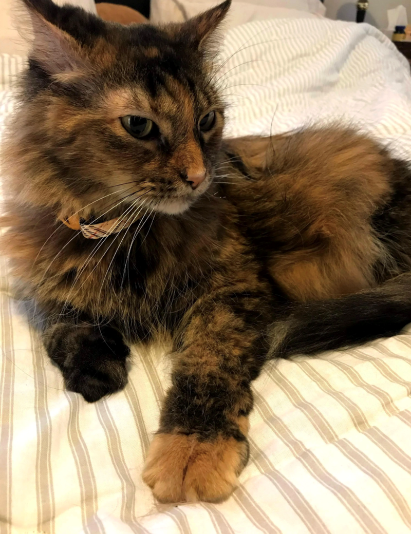 Cheezburger Image 10614188800