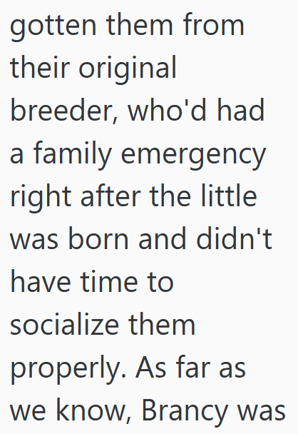 gotten them from their original breeder, who'd had a family emergency right after the little was born and didn't have time to socialize them properly. As far as we know, Brancy was