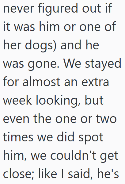 never figured out if it was him or one of her dogs) and he was gone. We stayed for almost an extra week looking, but even the one or two times we did spot him, we couldn't get close; like I said, he's