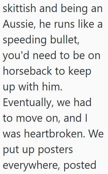 skittish and being an Aussie, he runs like a speeding bullet, you'd need to be on horseback to keep up with him. Eventually, we had to move on, and I was heartbroken. We put up posters everywhere, posted