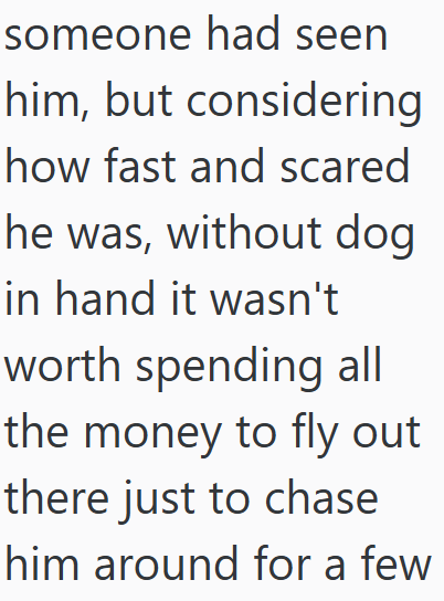 someone had seen him, but considering how fast and scared he was, without dog in hand it wasn't worth spending all the money to fly out there just to chase him around for a few