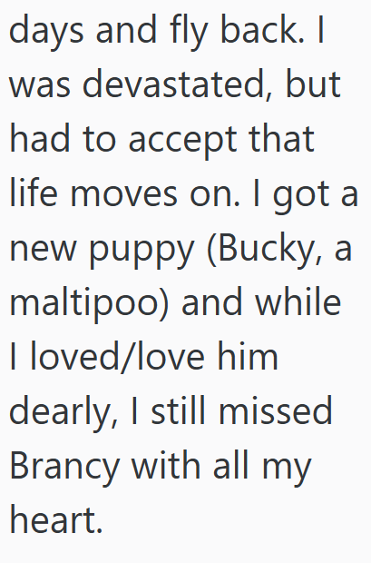 days and fly back. I was devastated, but had to accept that life moves on. I got a new puppy (Bucky, a maltipoo) and while I loved/love him dearly, I still missed Brancy with all my heart.