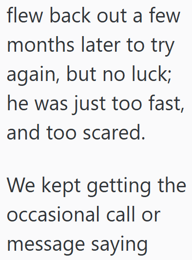 flew back out a few months later to try again, but no luck; he was just too fast, and too scared. We kept getting the occasional call or message saying