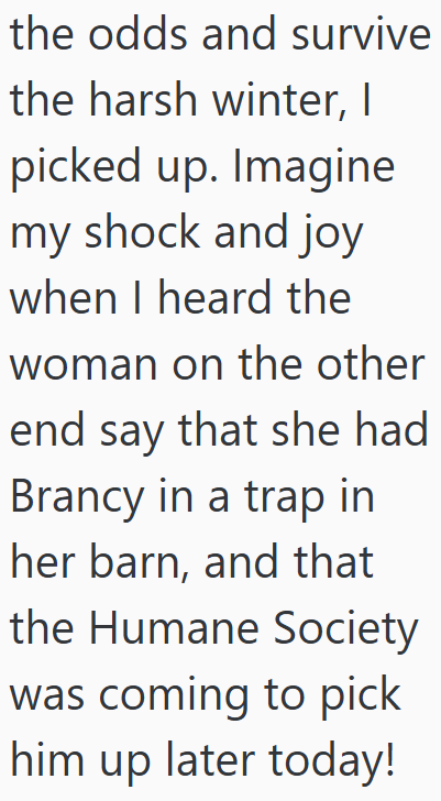 the odds and survive the harsh winter, I picked up. Imagine my shock and joy when I heard the woman on the other end say that she had Brancy in a trap in her barn, and that the Humane Society was coming to pick him up later today!