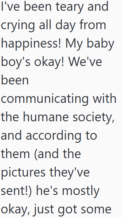 I've been teary and crying all day from happiness! My baby boy's okay! We've been communicating with the humane society, and according to them (and the pictures they've sent!) he's mostly okay, just got some