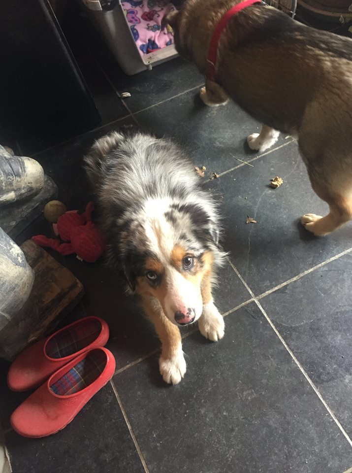 Cheezburger Image 10614196480