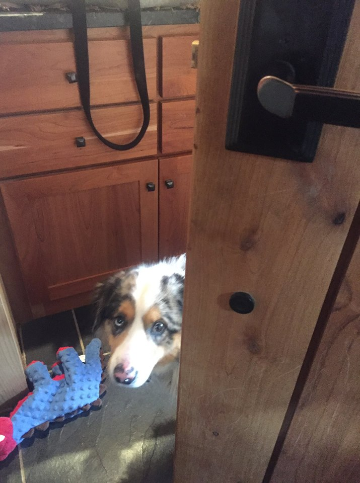 Cheezburger Image 10614196992