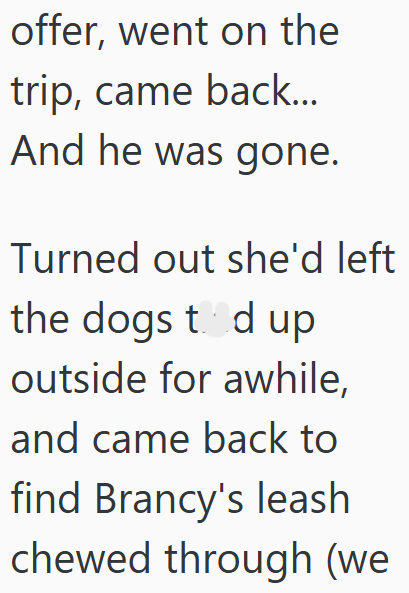 offer, went on the trip, came back... And he was gone. Turned out she'd left the dogs tod up outside for awhile, and came back to find Brancy's leash chewed through (we