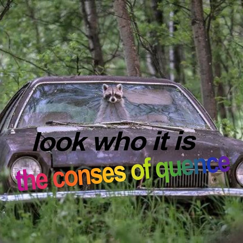 windows95wore look who it is the conses of quee