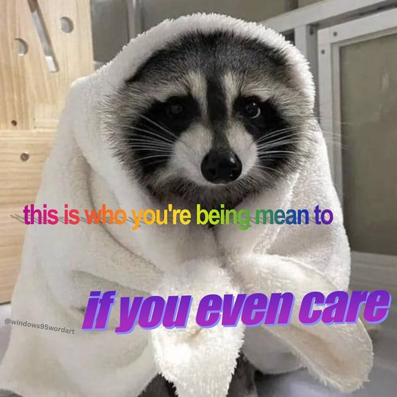 this is who you're being mean to @windows95wordart if you even care