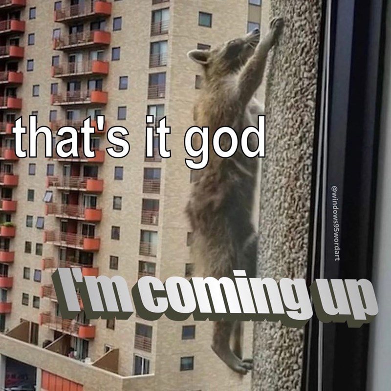 that's it god @windows95wordart I'm coming up D NEAR'S