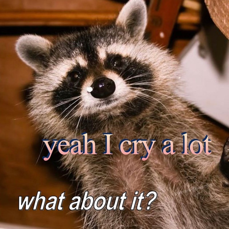 yeah I cry a lot what about it? @windows95wordart