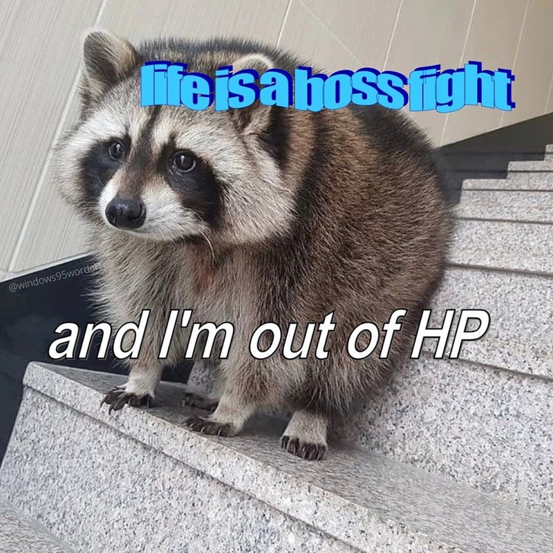 Meisaboss juht @windows95wordar and I'm out of HP