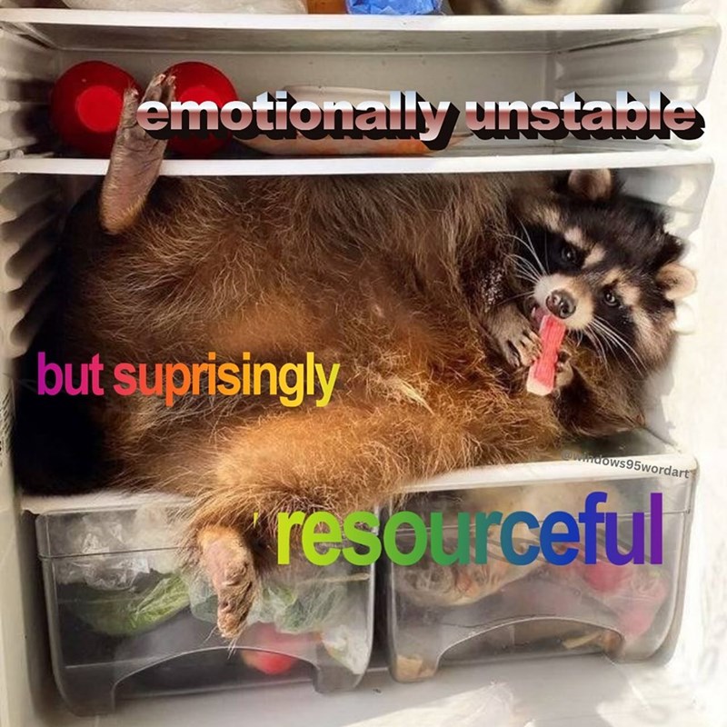 emotionally unstable but suprisingly @windows95wordart resourceful