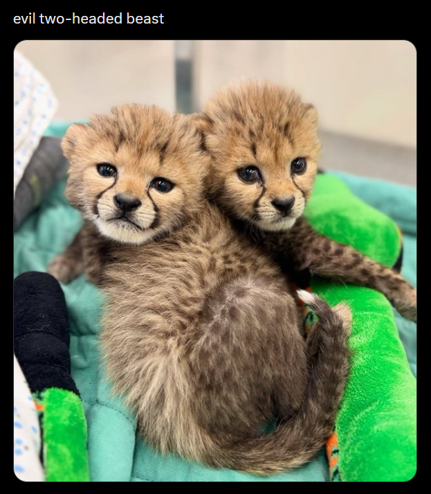 evil two-headed beast