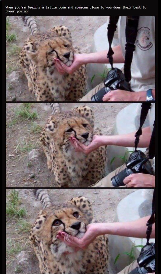 when you're feeling a little down and someone close to you does their best to cheer you up MOND