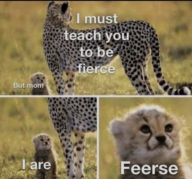But mom I must teach you to be fierce Iare Feerse