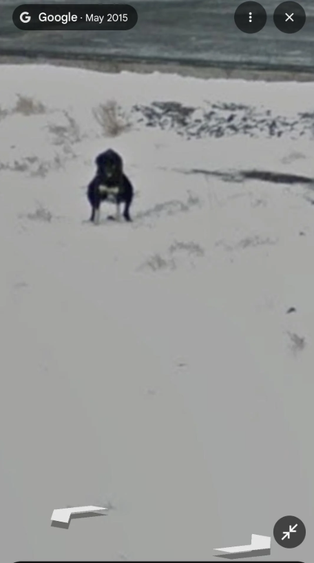 G Google - May 2015 *