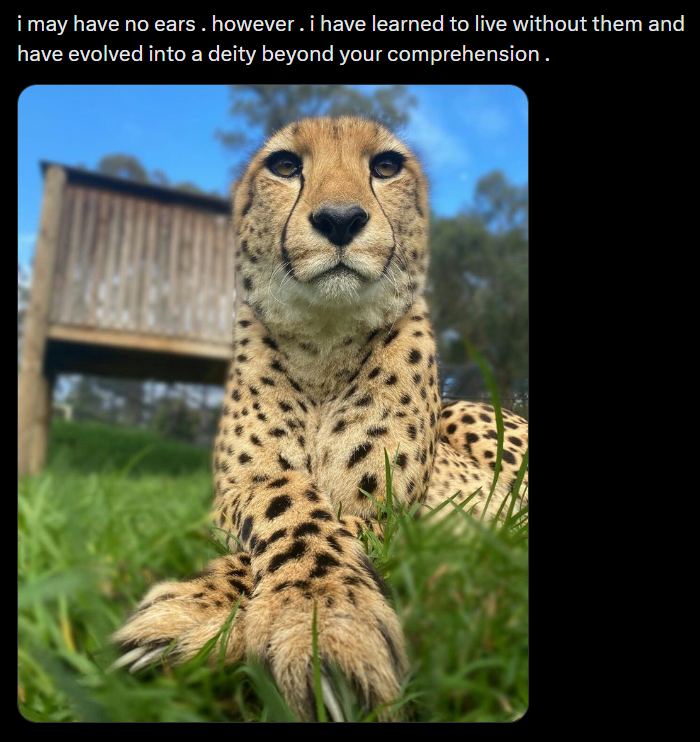 i may have no ears. however. i have learned to live without them and have evolved into a deity beyond your comprehension.