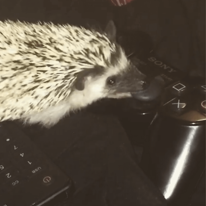 SONY START C 4 e USB 1 CC 825 7