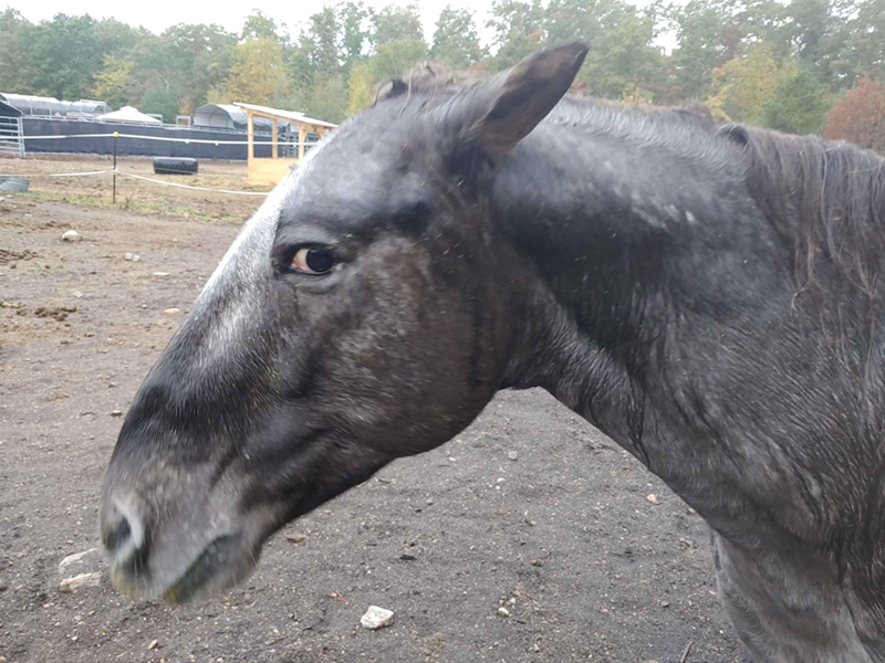 Cheezburger Image 10614213888