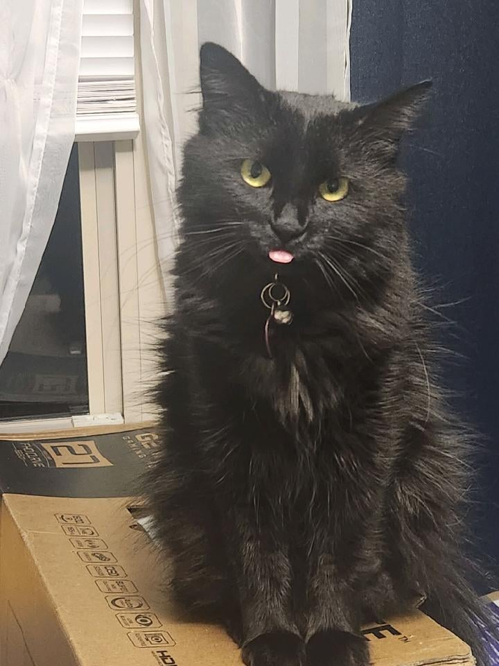 FHOOURIE GE GAMING HD