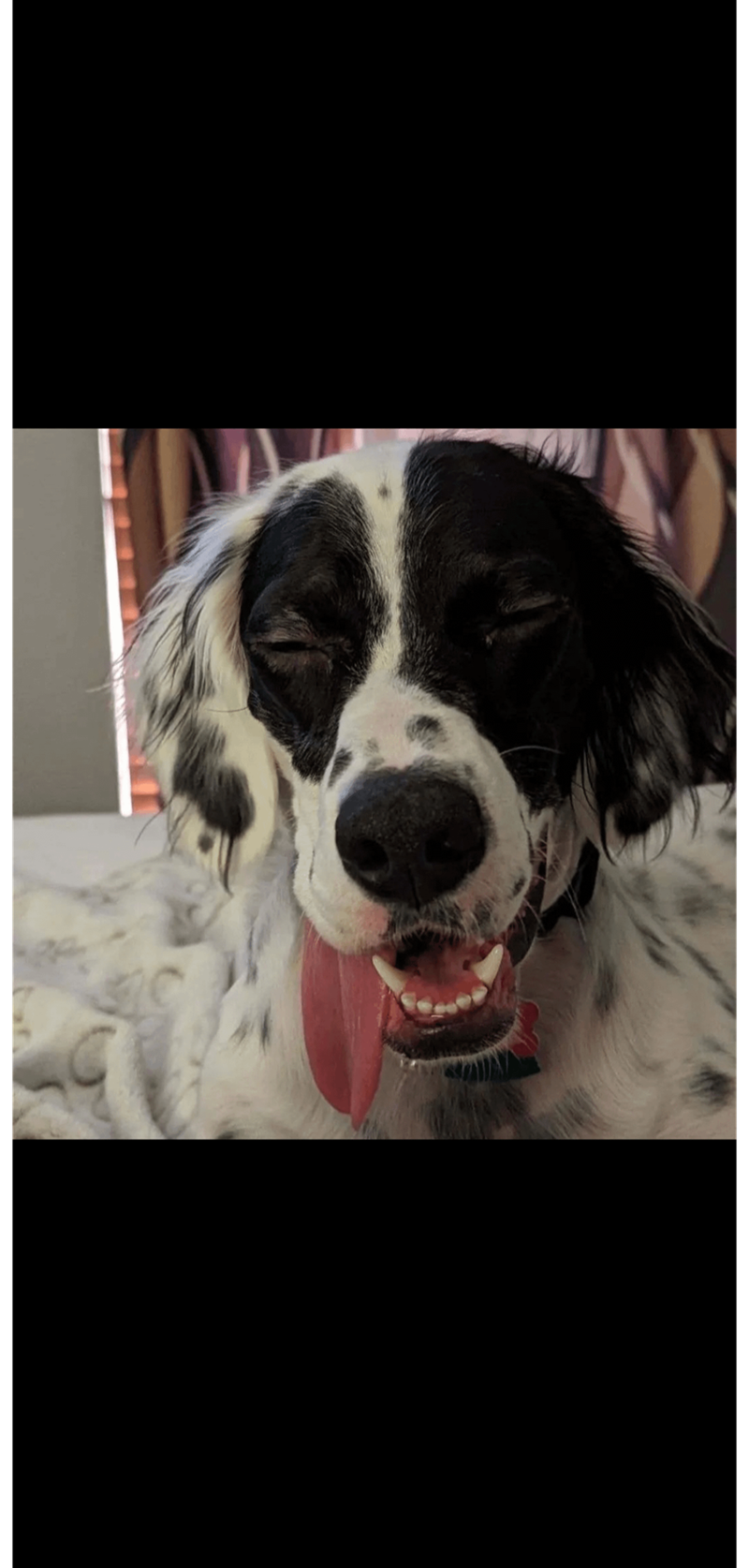 Cheezburger Image 10614214656