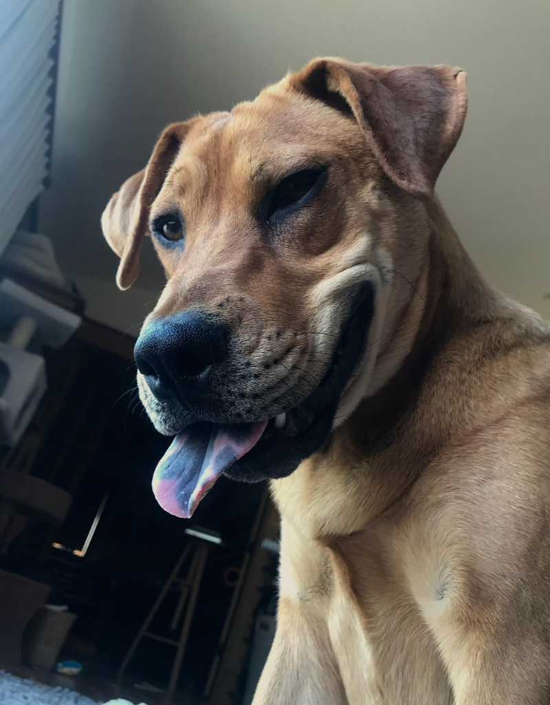 Cheezburger Image 10614214912