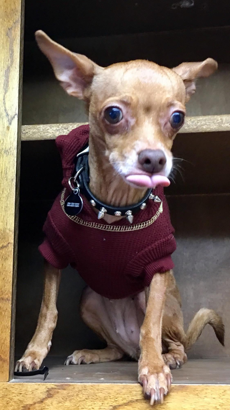 Cheezburger Image 10614215936