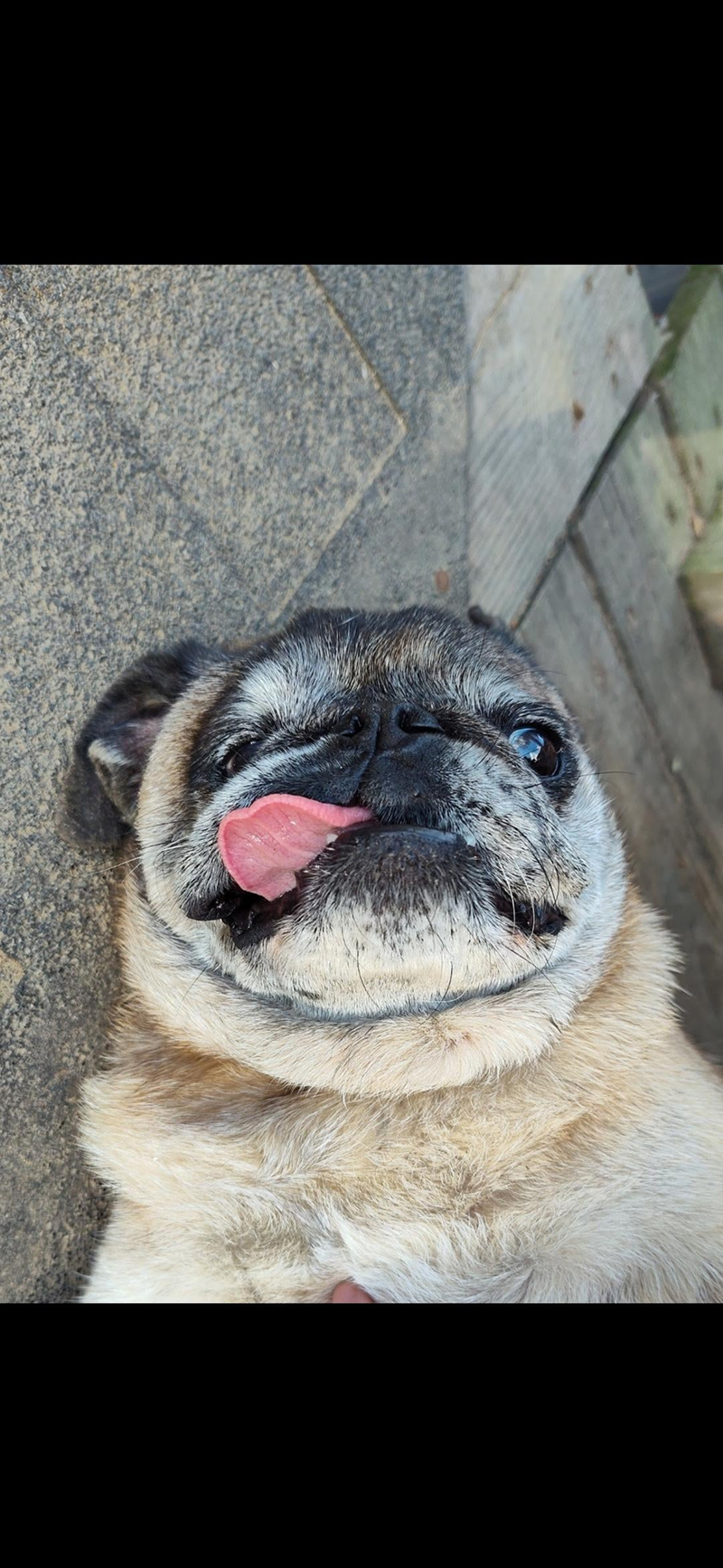 Cheezburger Image 10614216192